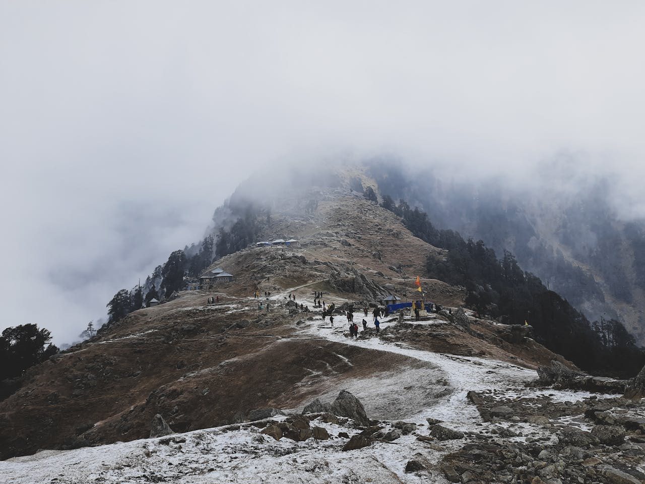 Triund Trek, McLeod Ganj
